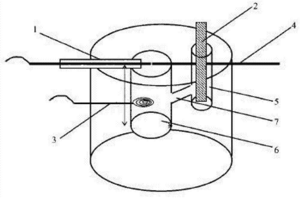 Hydrogen peroxide sensor, preparation method thereof, and application thereof in detecting unicellular hydrogen peroxide