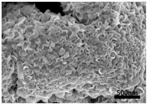 Ternary layered carbide Mo2Ga2C composite flower-like MoS2 nano-particle composite material and preparation method and application thereof