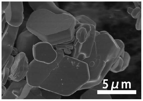 Ternary layered carbide Mo2Ga2C composite flower-like MoS2 nano-particle composite material and preparation method and application thereof