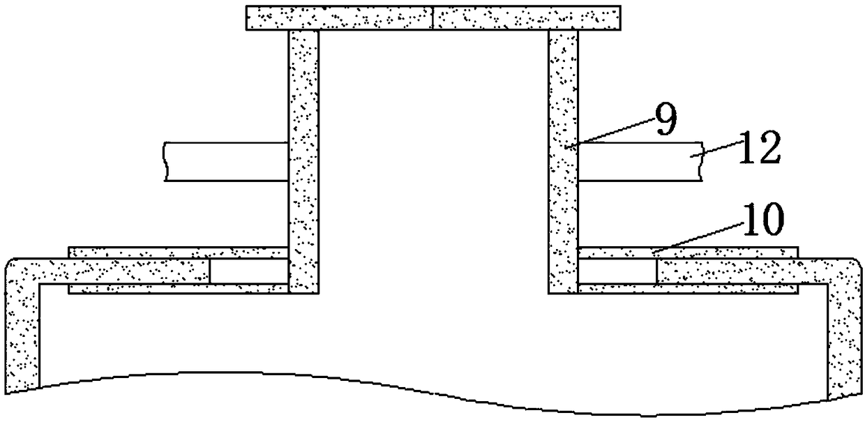 Red wine brewing apparatus