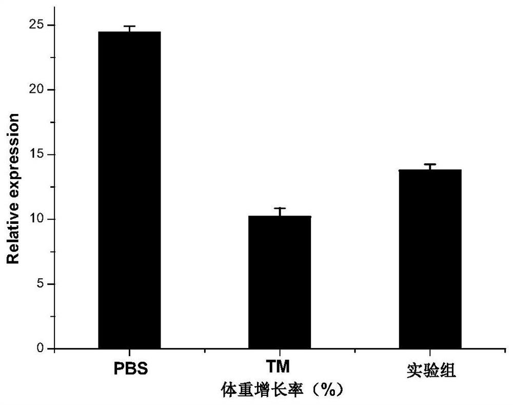 Bacteroides thetaiotaomicron and application thereof