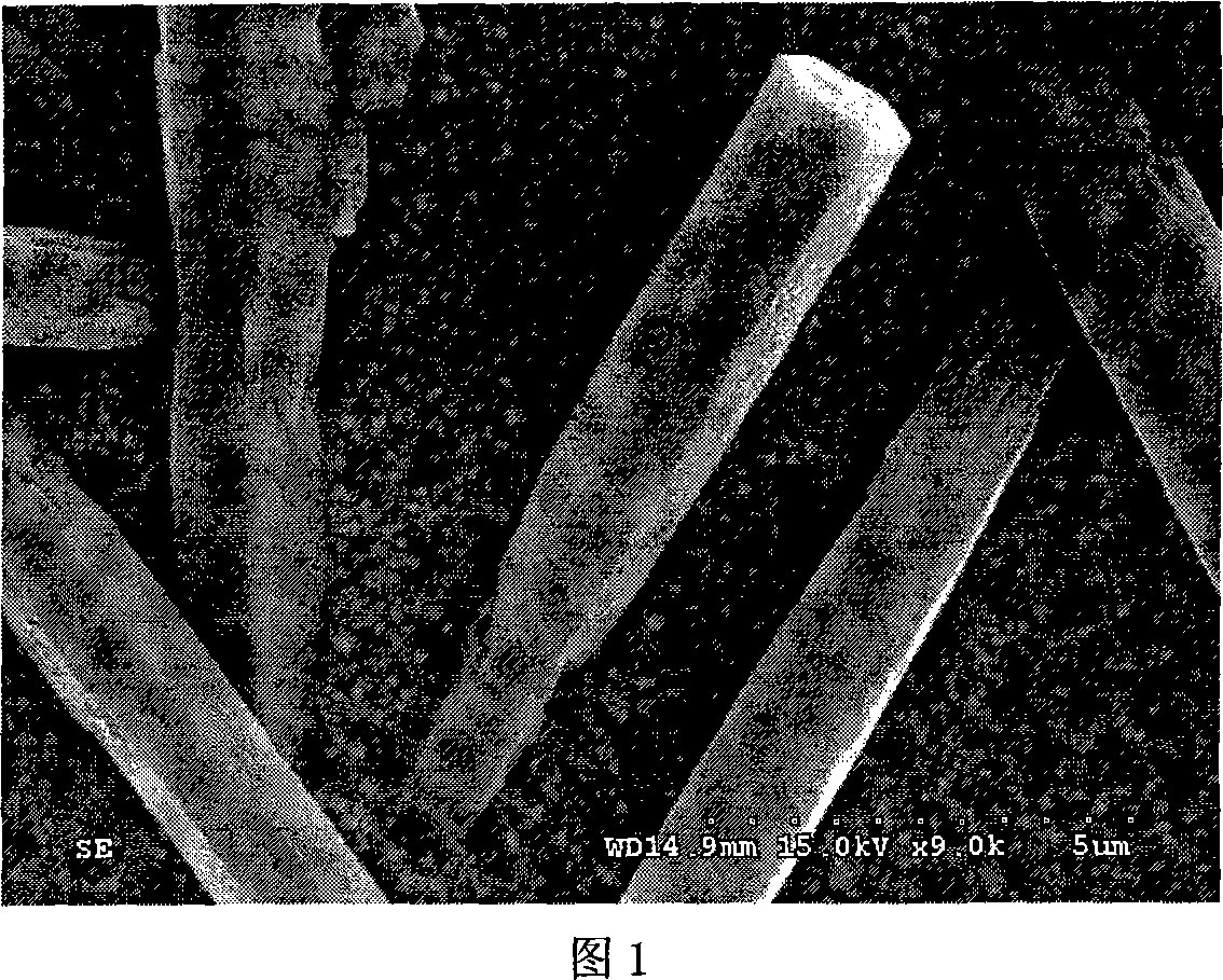 Method for preparing Nano zinc oxide film with different appearances through solution technique