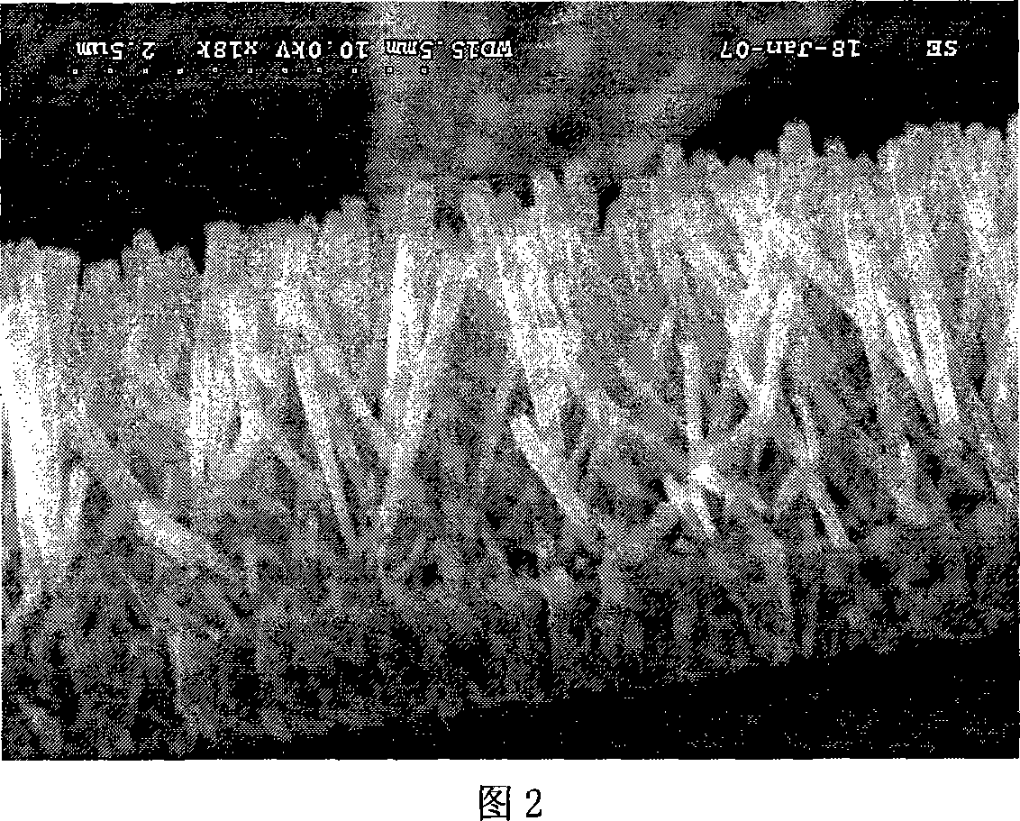 Method for preparing Nano zinc oxide film with different appearances through solution technique