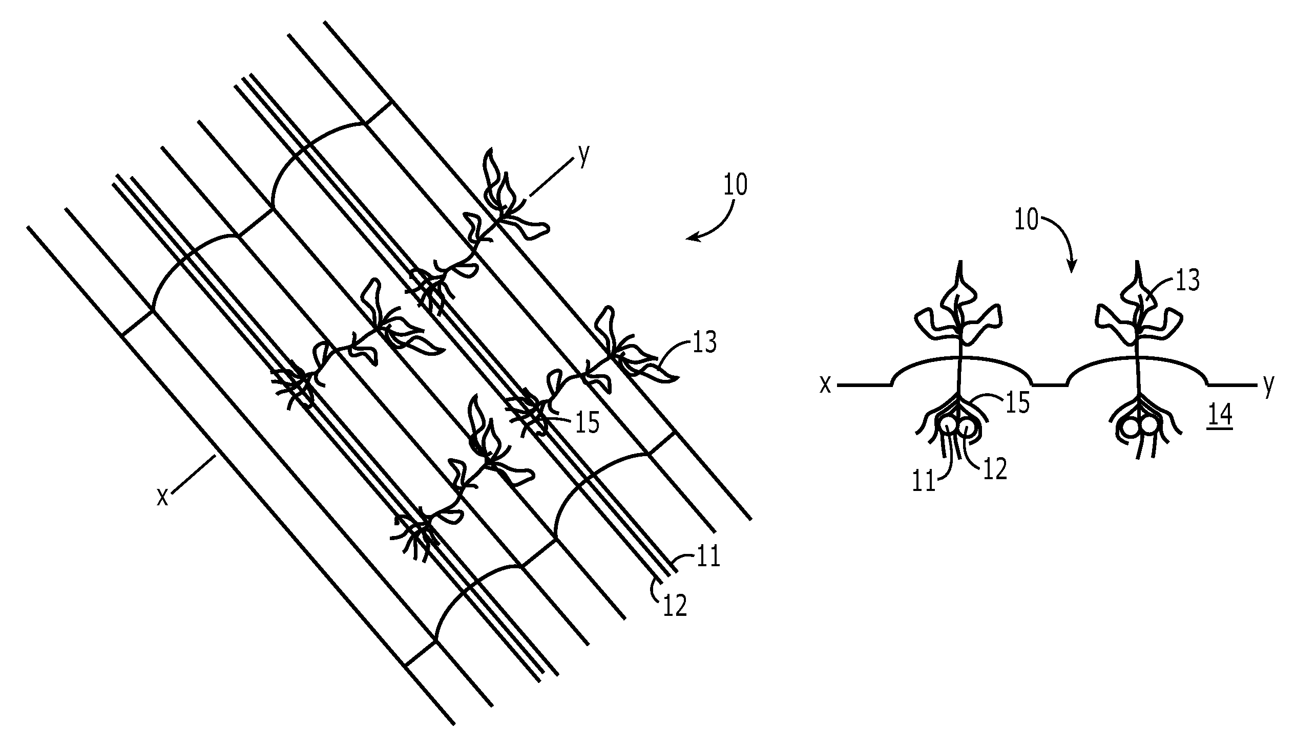 Fluid and nutrient delivery system and associated methods