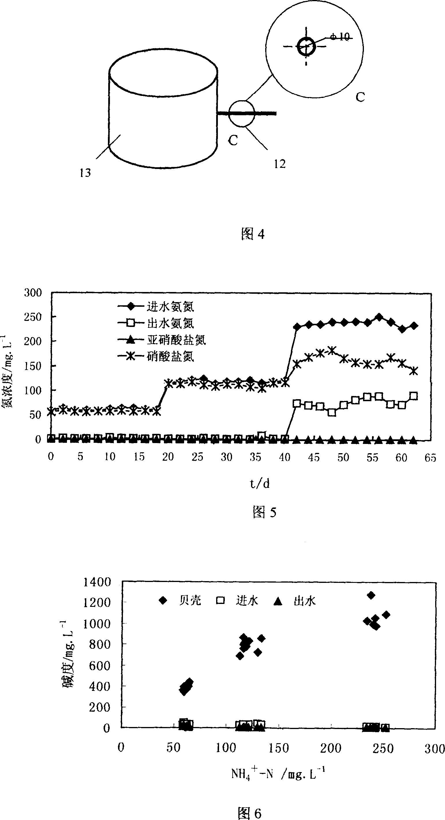 Nitrating aeration biological filting tank of oyster shell filling