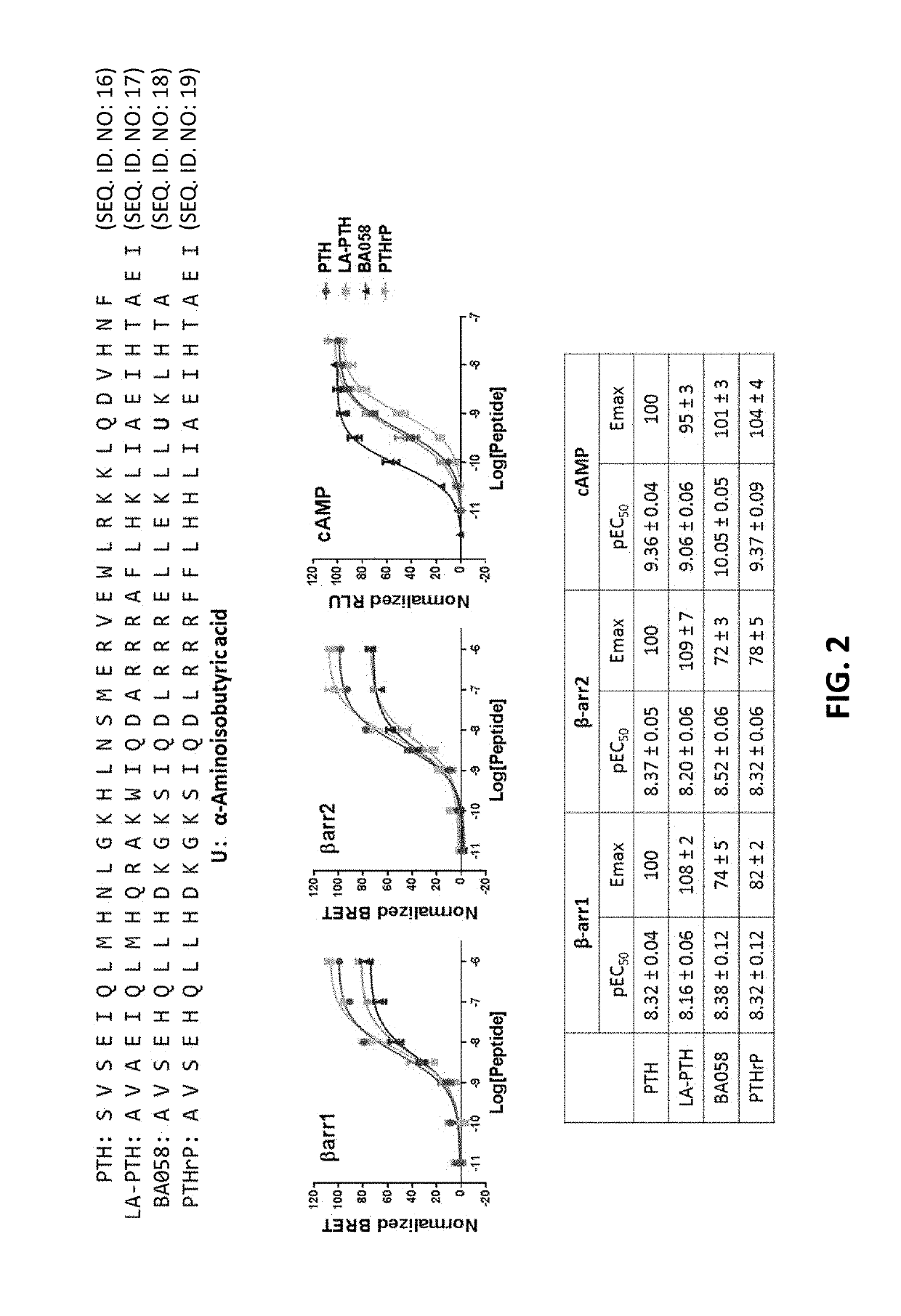 Analogues of parathyroid hormone (1-34) that function as agonists of the parathyroid hormone receptor-1 and display modified activity profiles