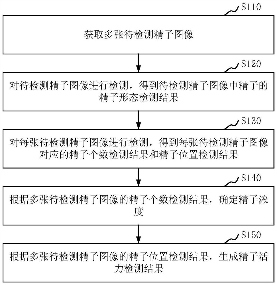 Sperm quality detection method and device, computer equipment and storage medium