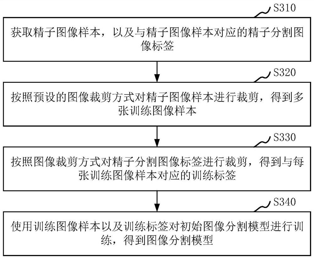 Sperm quality detection method and device, computer equipment and storage medium