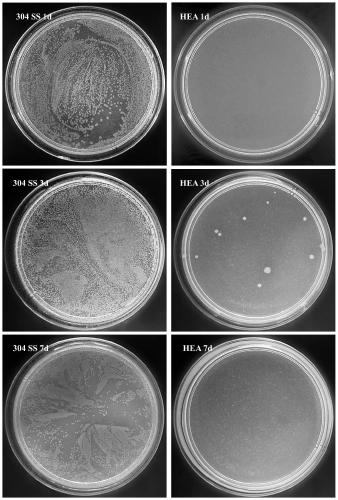 High-strength-plasticity antibacterial high-entropy alloy and preparation method thereof