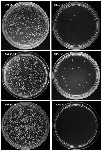 High-strength-plasticity antibacterial high-entropy alloy and preparation method thereof