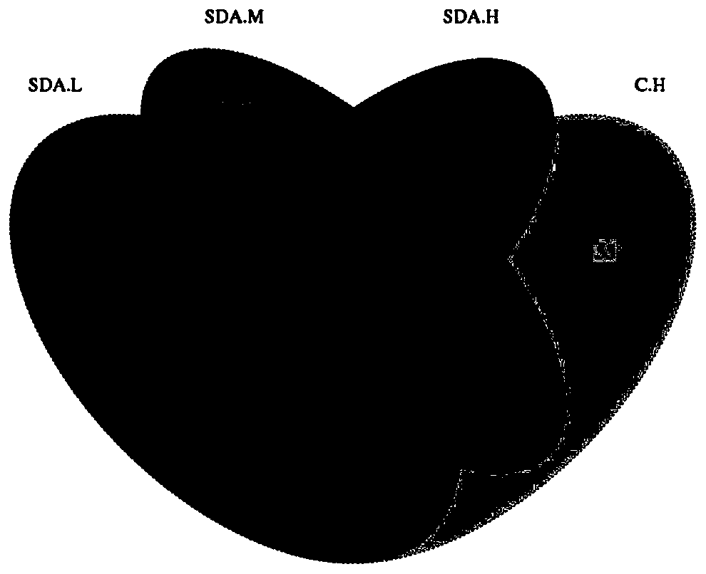 Application of sodium diacetate in improving diversity of intestinal flora of animals