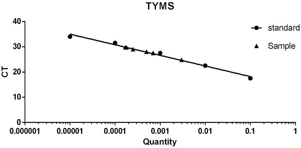 Fluorescent quantitative PCR (polymerase chain reaction) detection kit for TYMS (thymidylate synthase) gene expression quantity and application of kit