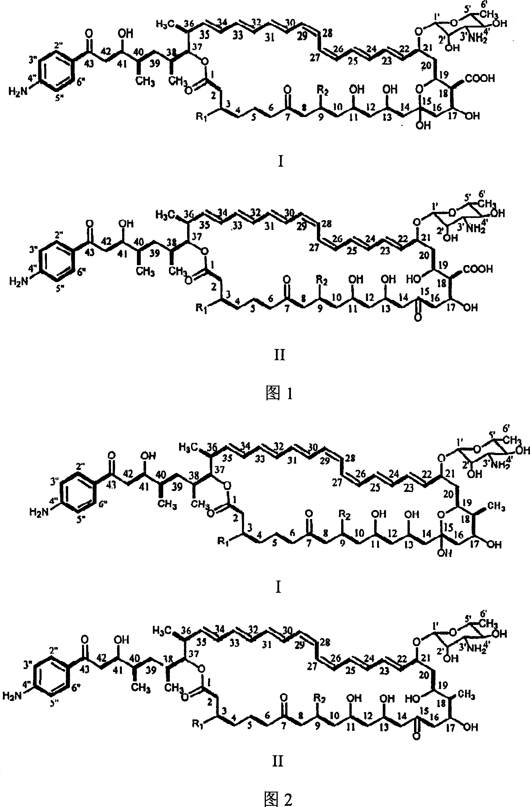 Decarboxylated FR-008 derivative polyketone antibiotic and use thereof