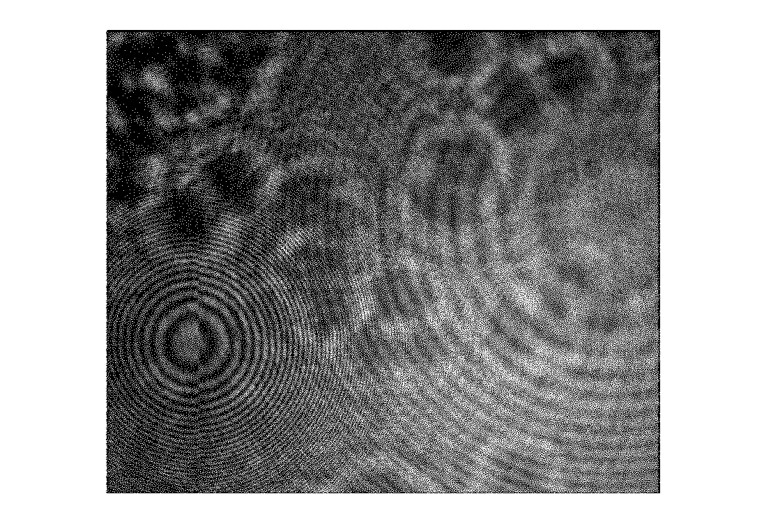 Inverted digital holographic microscope