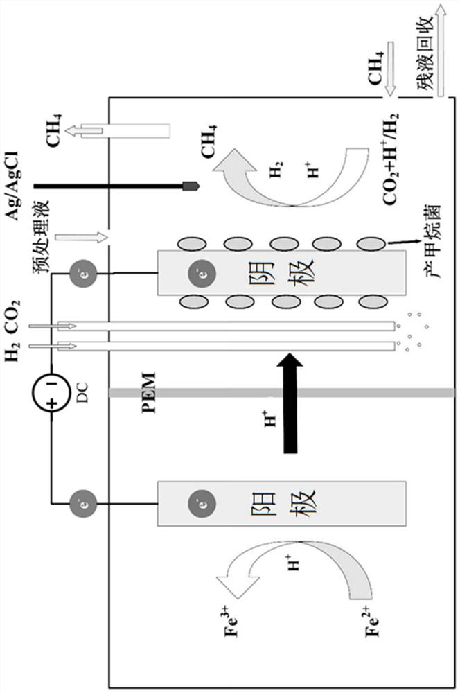 Biomethanation system for coupling renewable energy hydrogen production with power plant to capture carbon dioxide