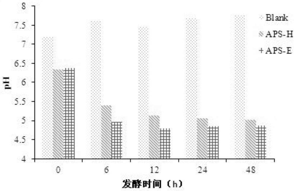 Low-molecular-weight alfalfa polysaccharide as well as preparation method and application thereof in regulating intestinal flora