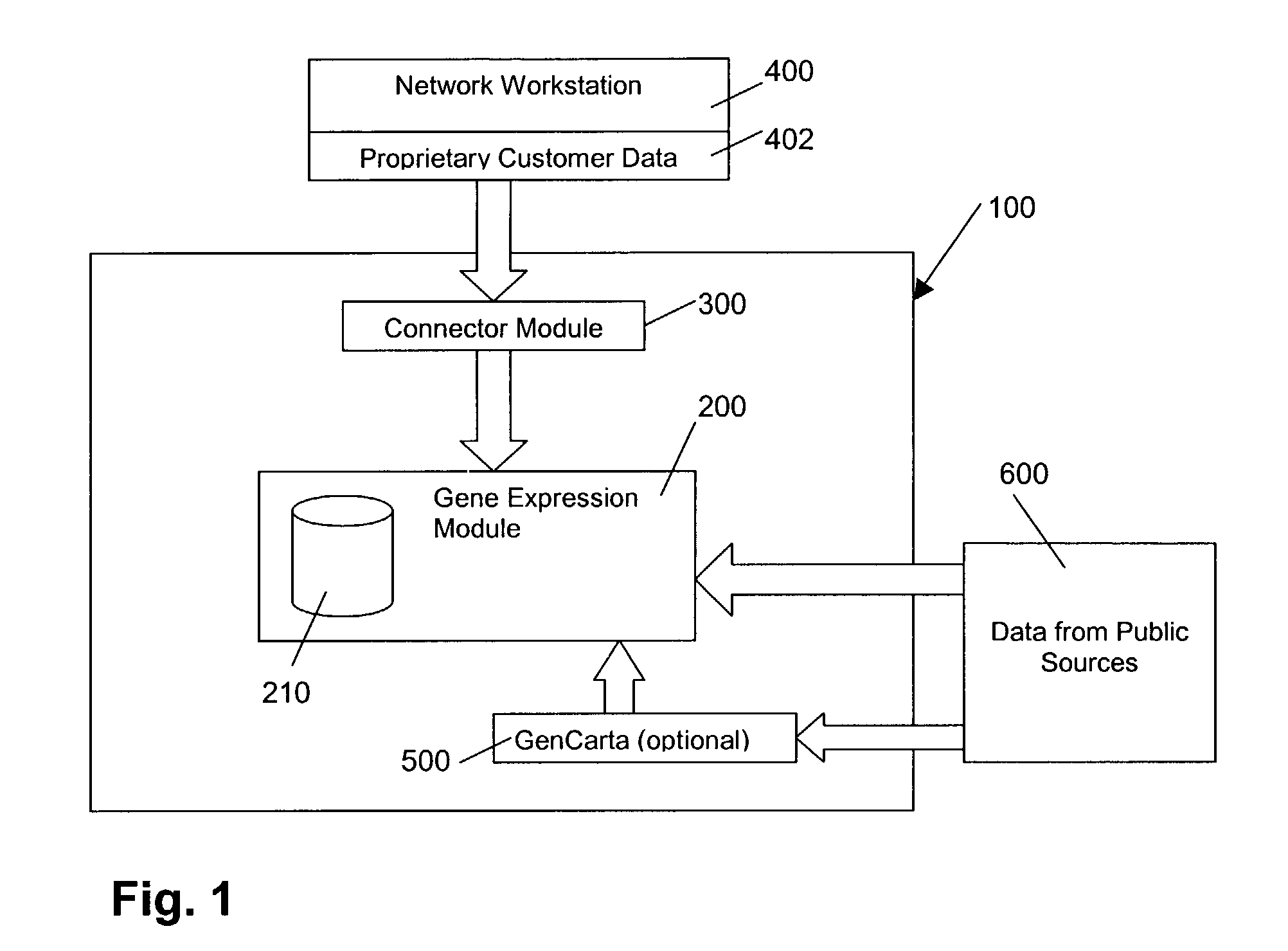 Analysis engine and work space manager for use with gene expression data