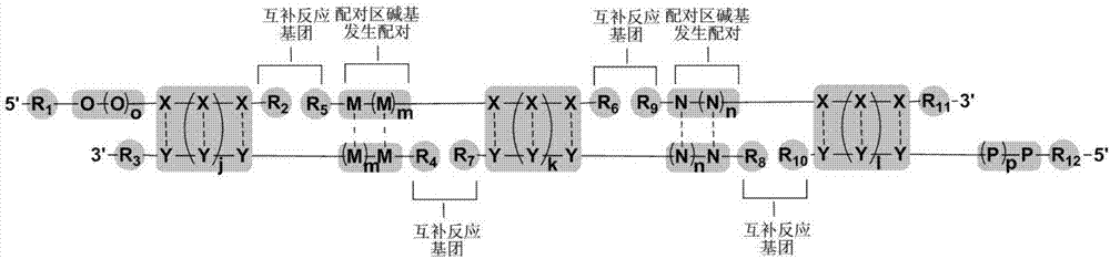 Computer coding method for double-stranded nucleotides of DNA coding compound library