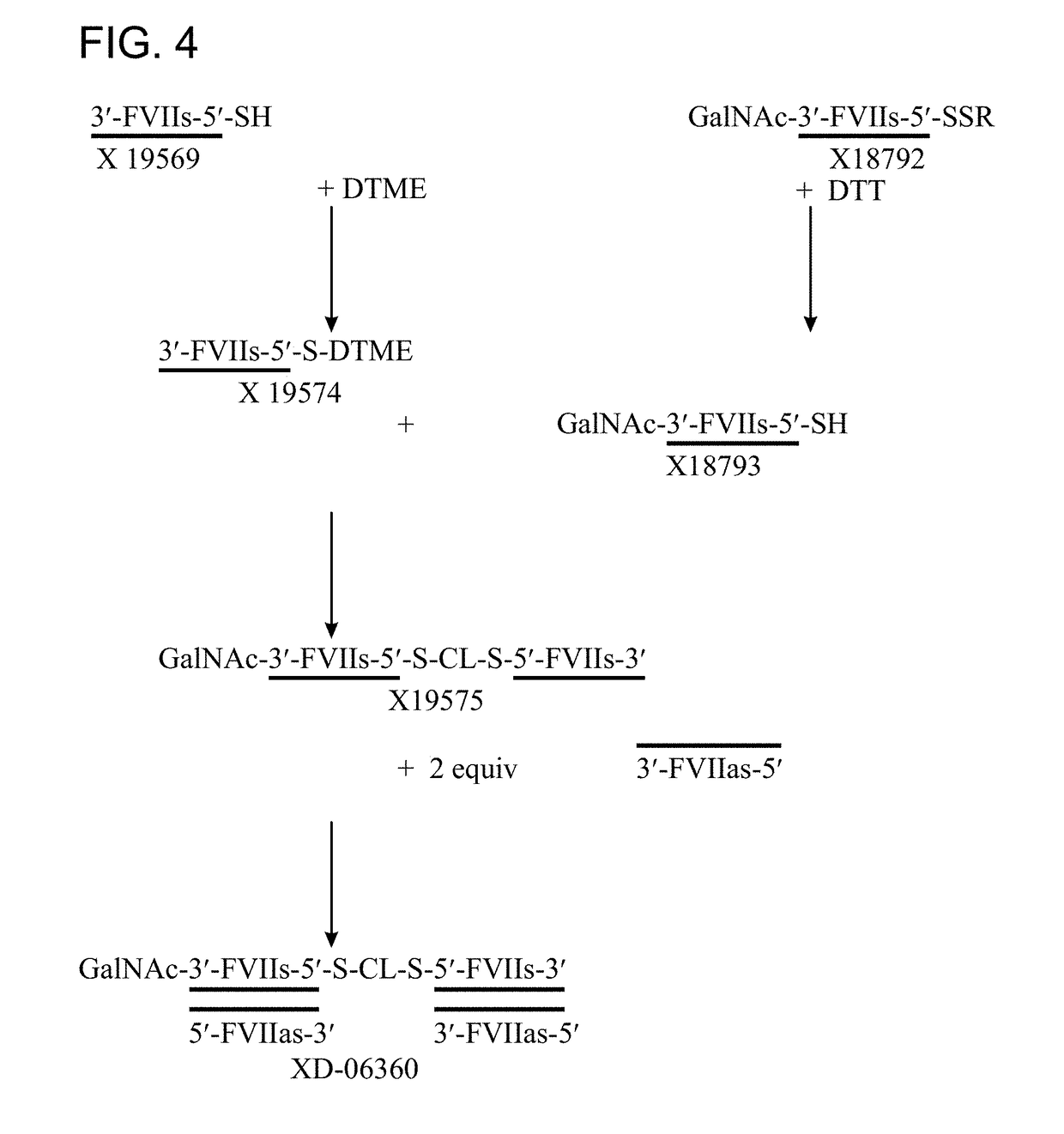 Multimeric oligonucleotides having decreased kidney clearance