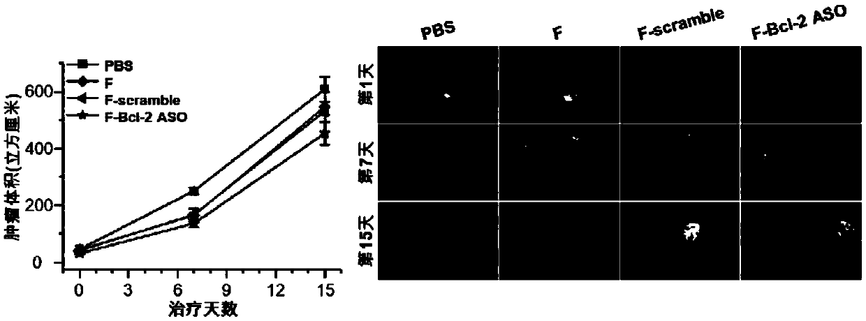 Functional nucleic acid of skeleton integrated nucleoside analog medicine as well as derivative and application thereof