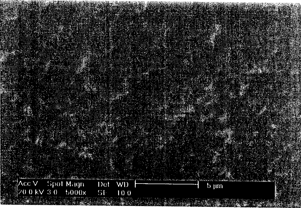 Method for preparing fixed carrier compound membrane for CO2 separation by utilizing interfacial polymerization