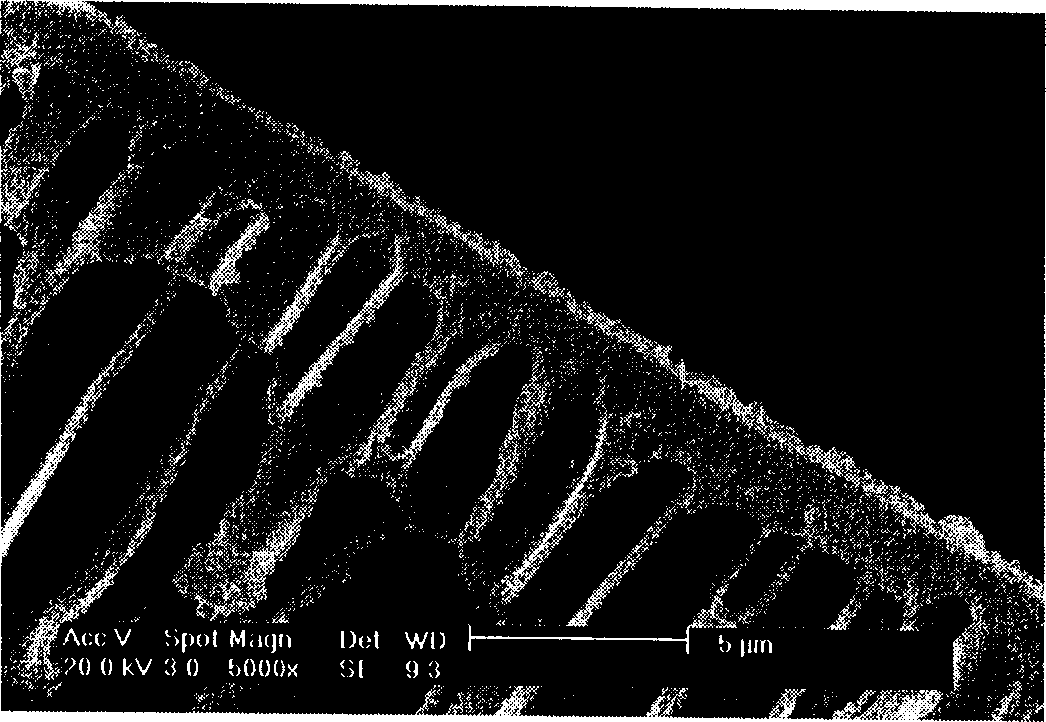 Method for preparing fixed carrier compound membrane for CO2 separation by utilizing interfacial polymerization