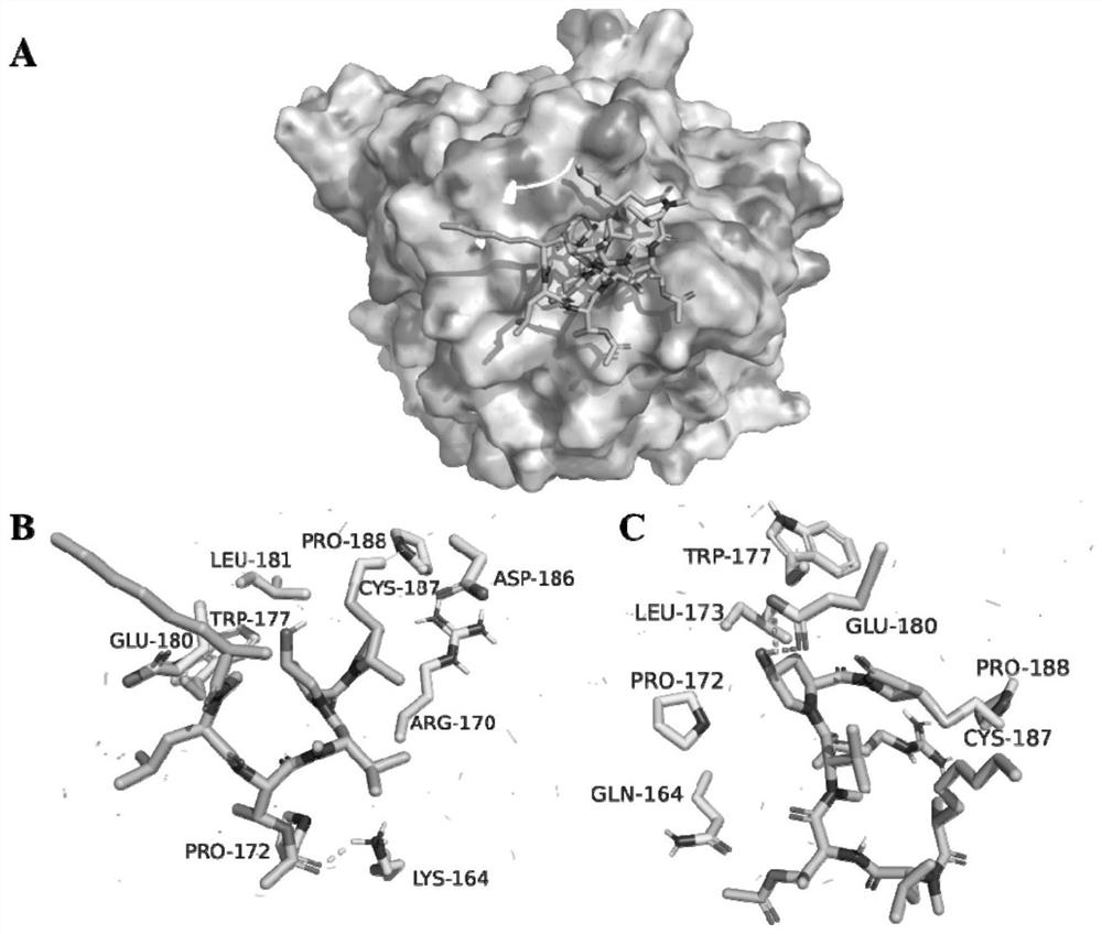 Drug target for treating cancer and application thereof