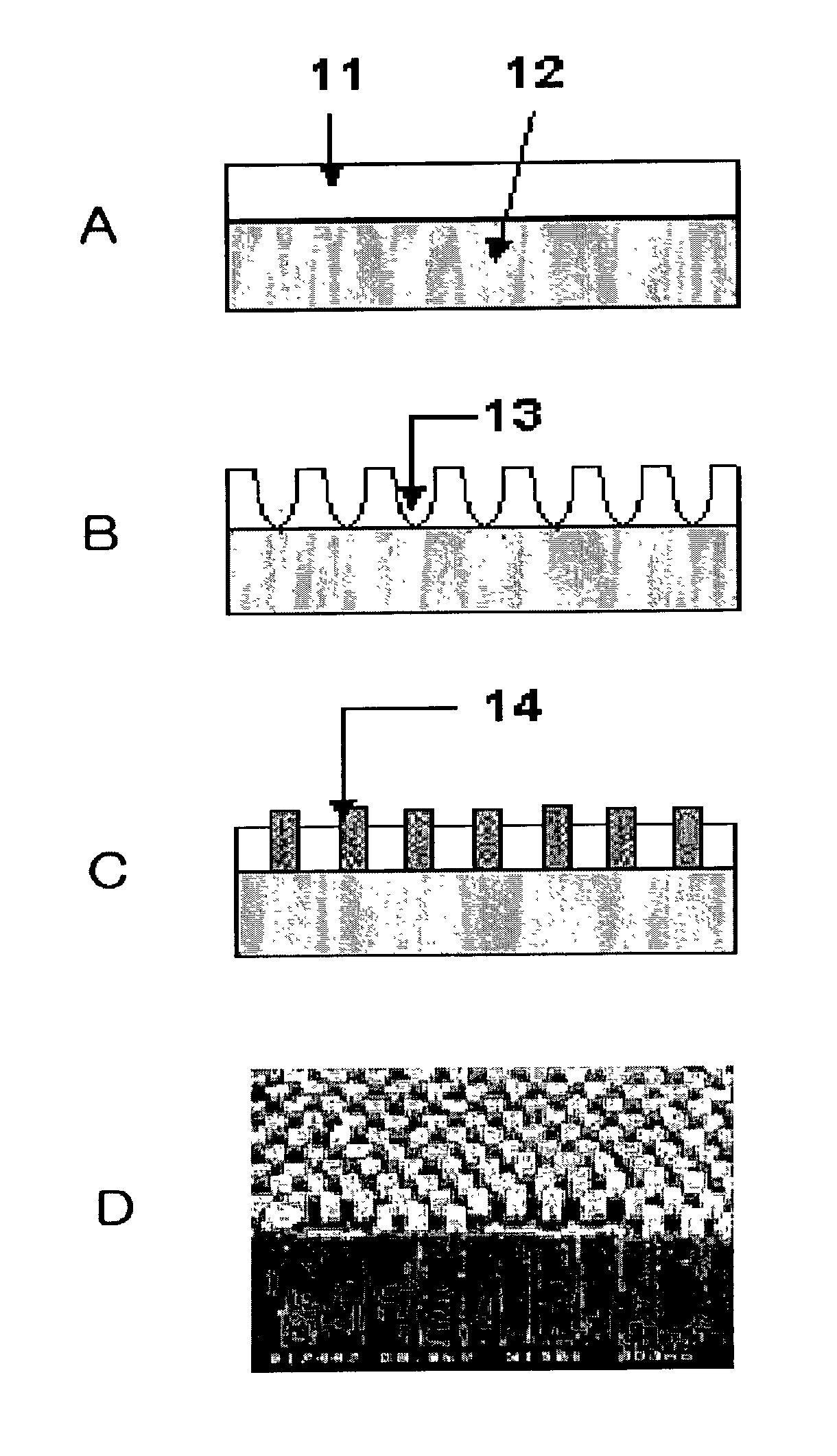 Biochip including carbon nanotubes and method for sample separation using the same