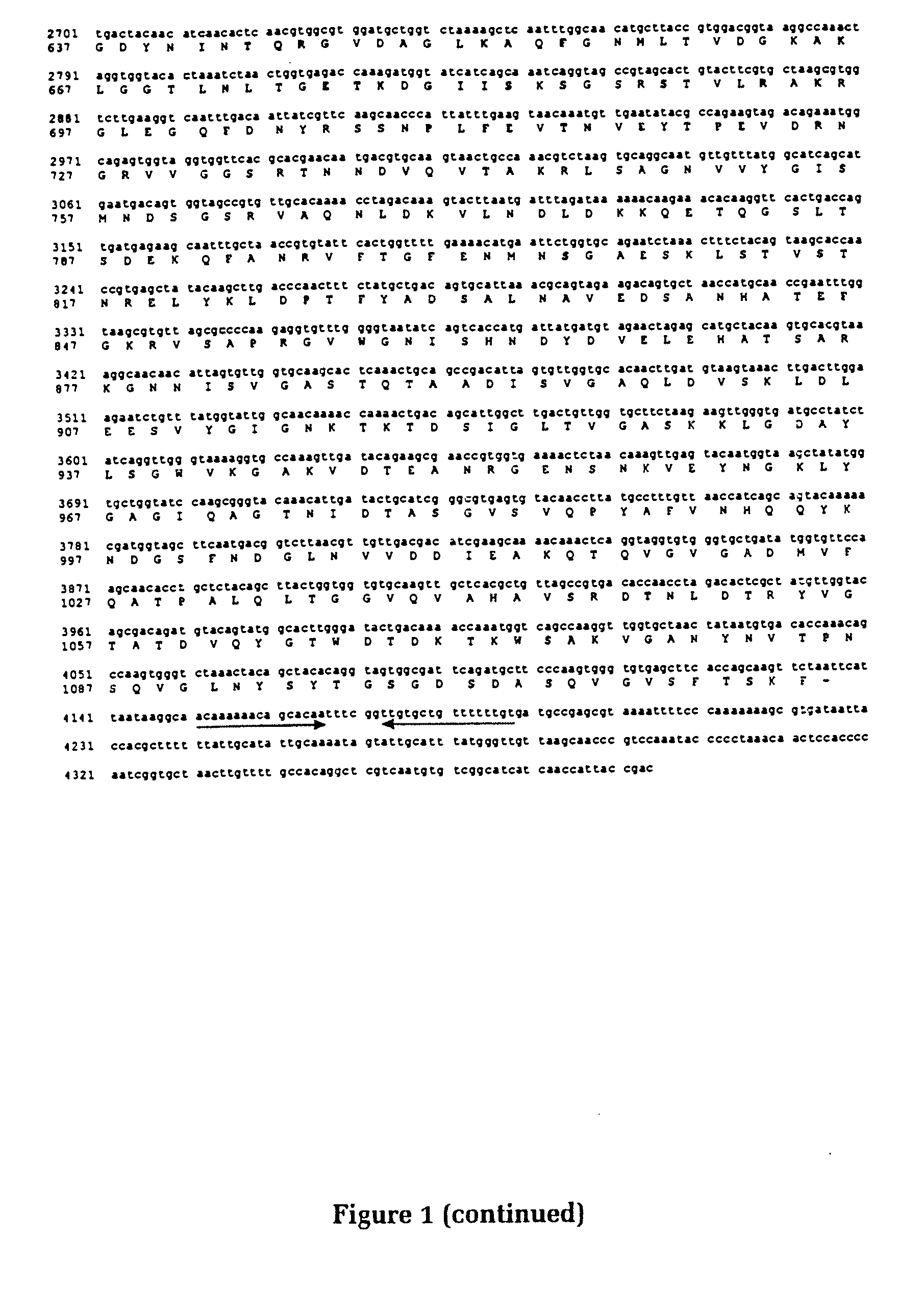 Vaccine antigens of Moraxella