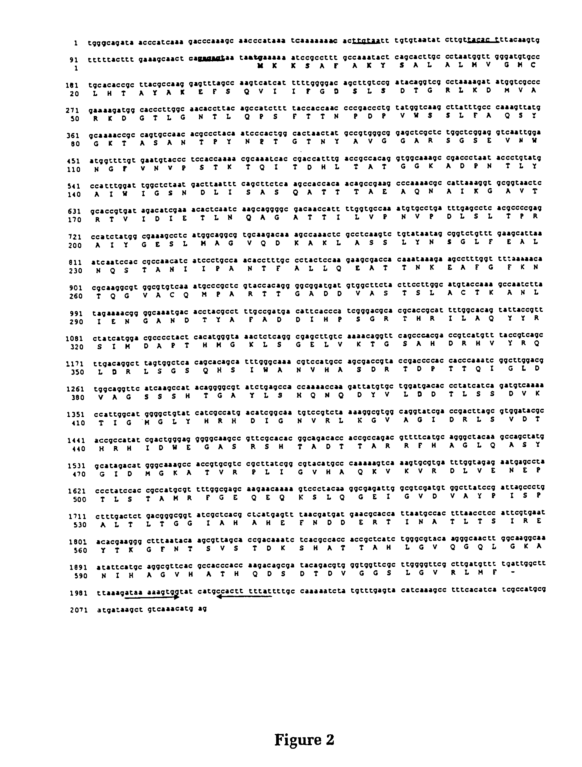 Vaccine antigens of Moraxella