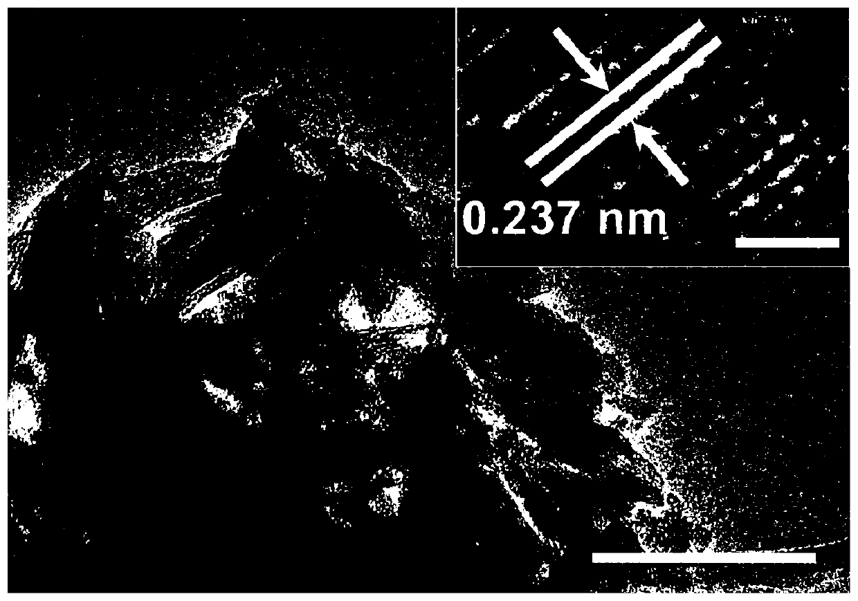 Magnesium alloy modified by in-situ magnesium hydroxide nano-sheet and preparation and application thereof