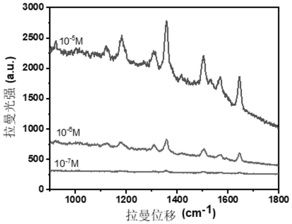 SERS substrate and preparation method and application thereof