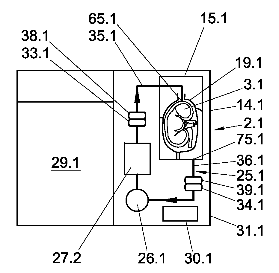 Apparatus, system and method for conditioning and preserving an organ from a donor