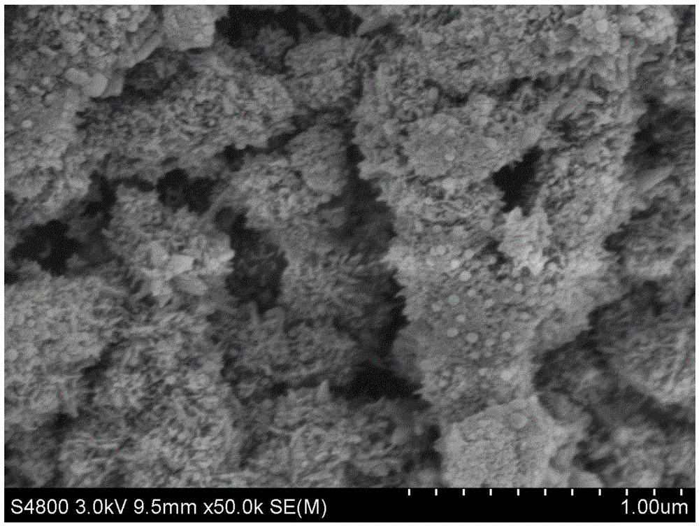 Antibiotic textile and production method thereof