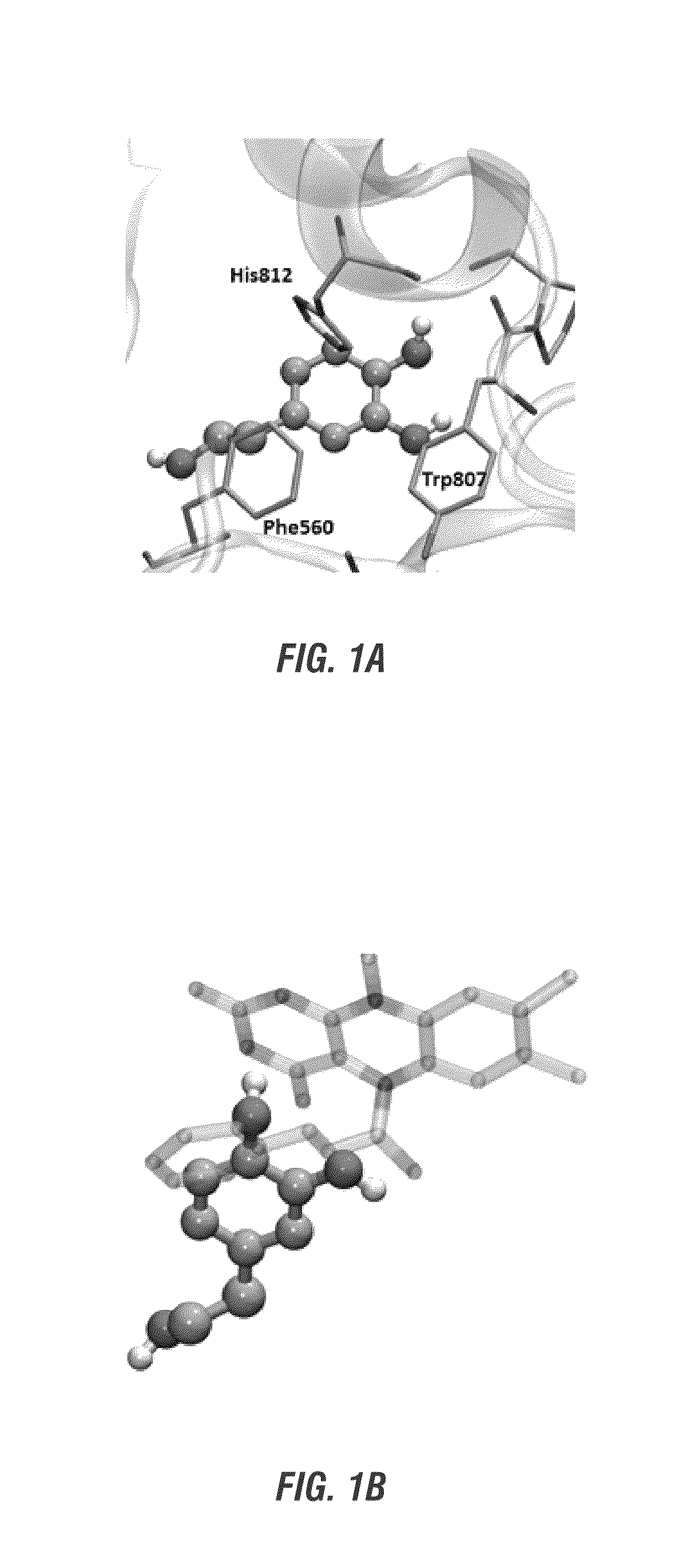 Hydroxytyrosol and oleuropein compositions for induction of DNA damage, cell death and LSD1 inhibition