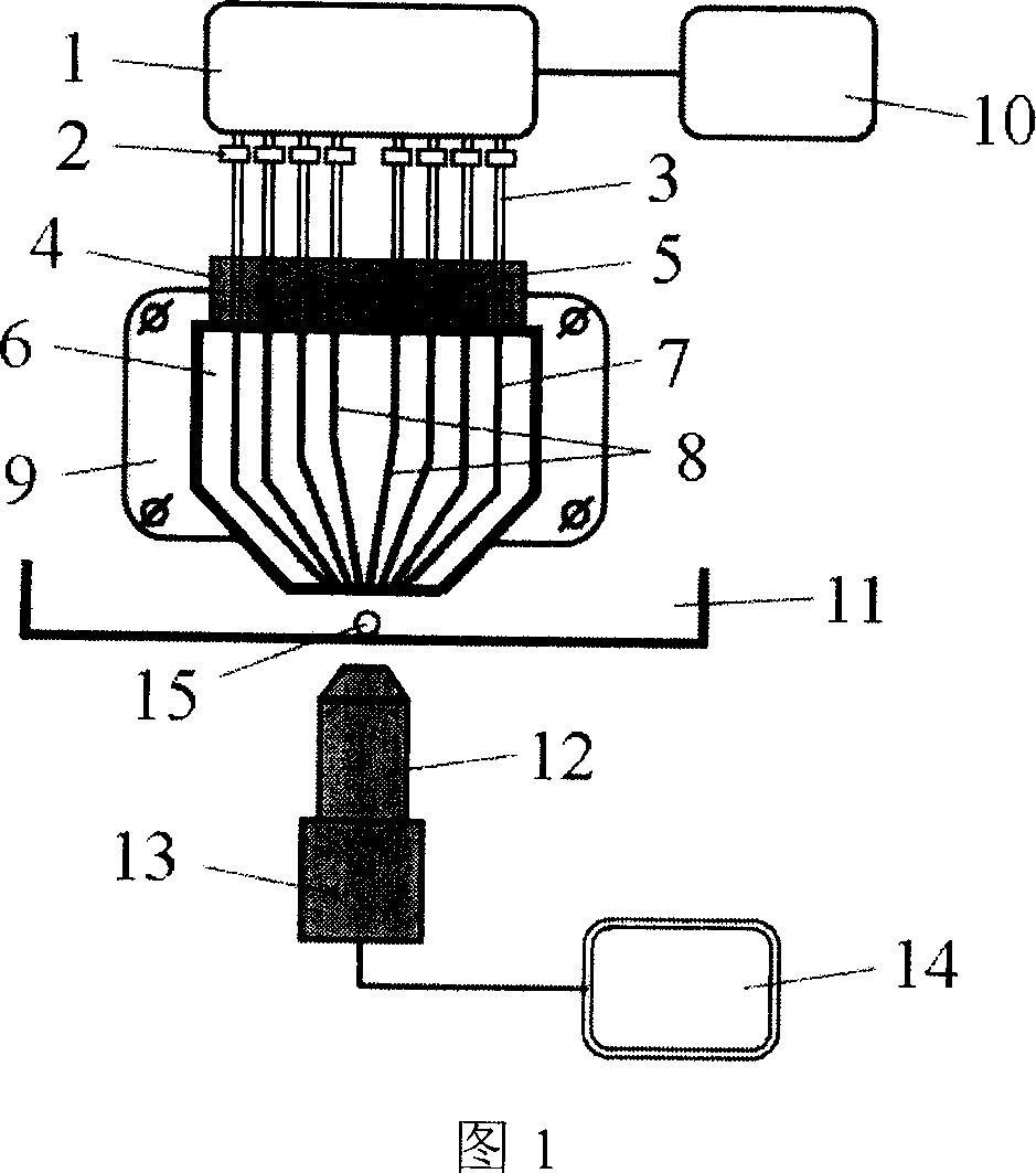 Optical waveguide optical spanner system