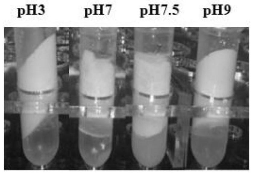 A high internal phase emulsion of soybean protein isolate-pectin complex stabilizing quercetin and its preparation method