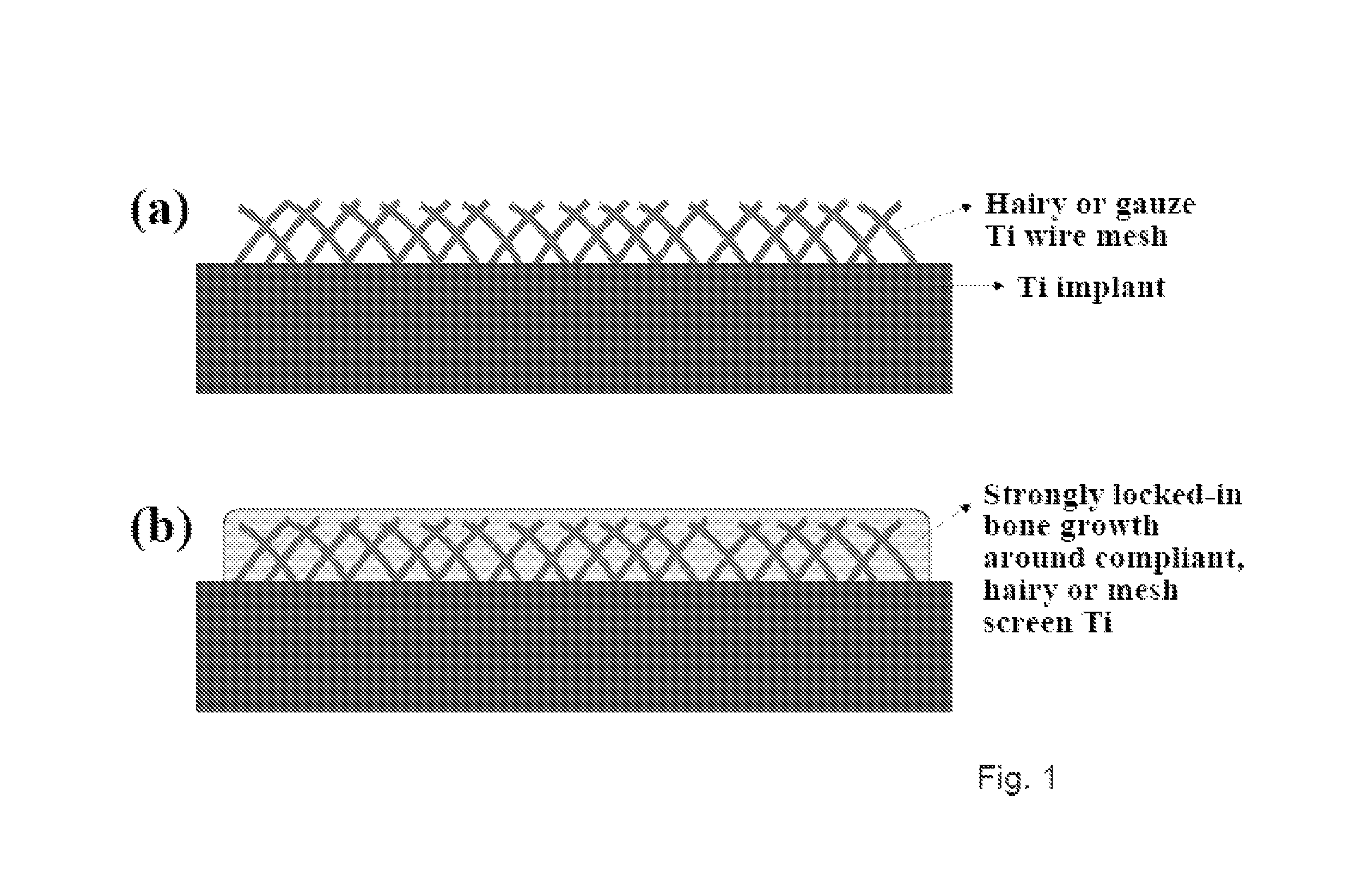 Articles comprising large-surface-area bio-compatible materials and methods for making and using them