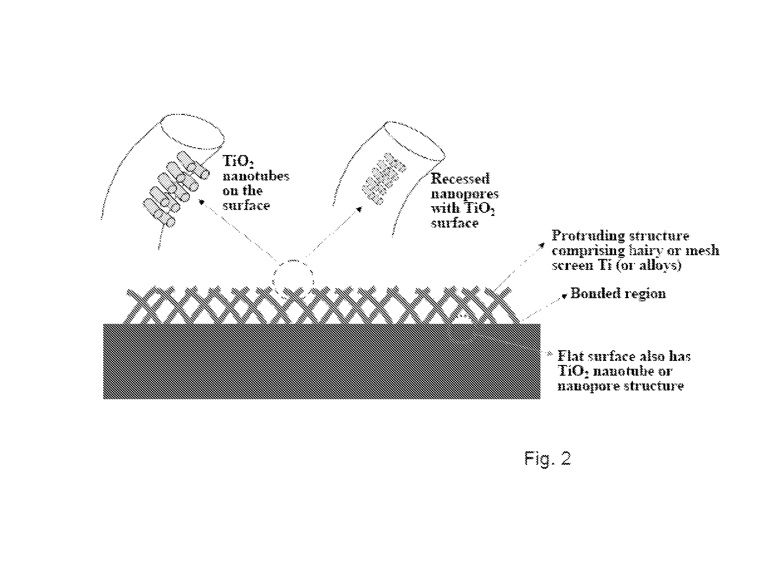 Articles comprising large-surface-area bio-compatible materials and methods for making and using them