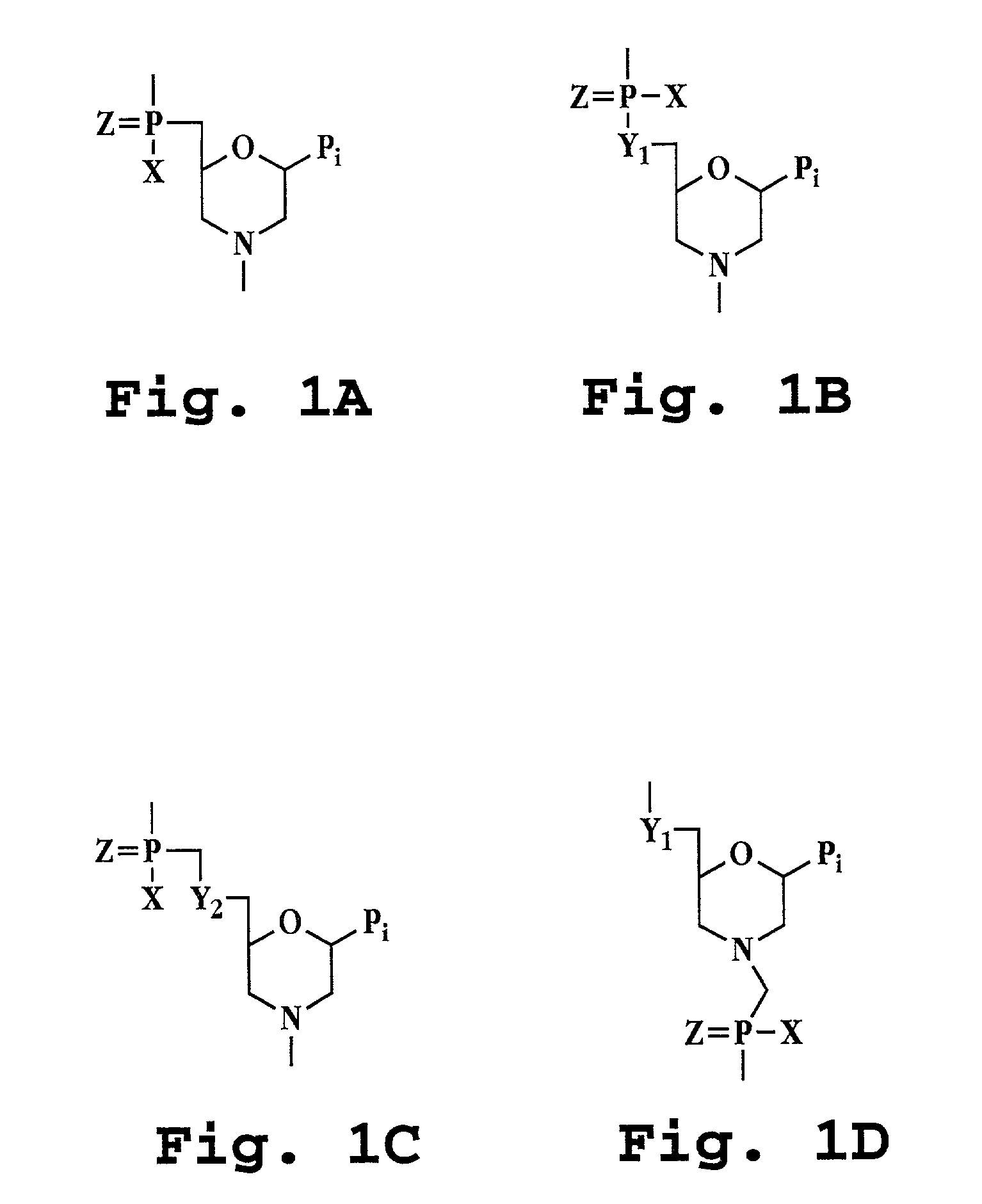 Antisense antibacterial cell division composition and method