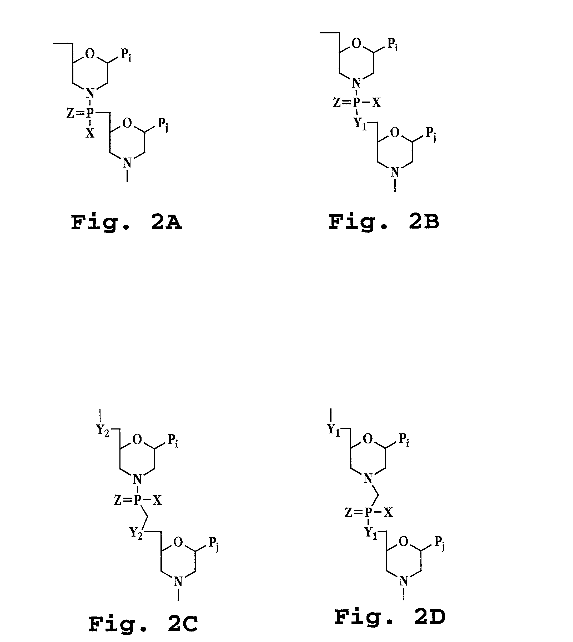 Antisense antibacterial cell division composition and method