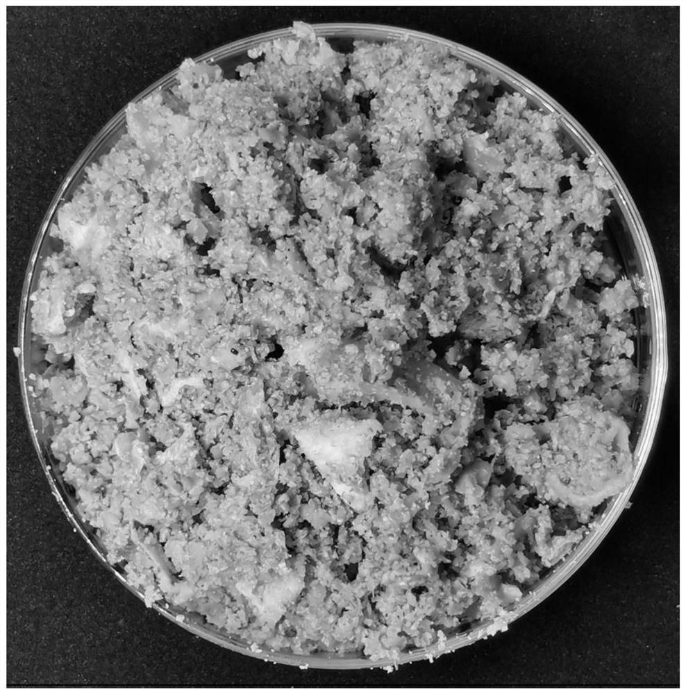 Leftover vegetable fermented feed for livestock and poultry and preparation method thereof