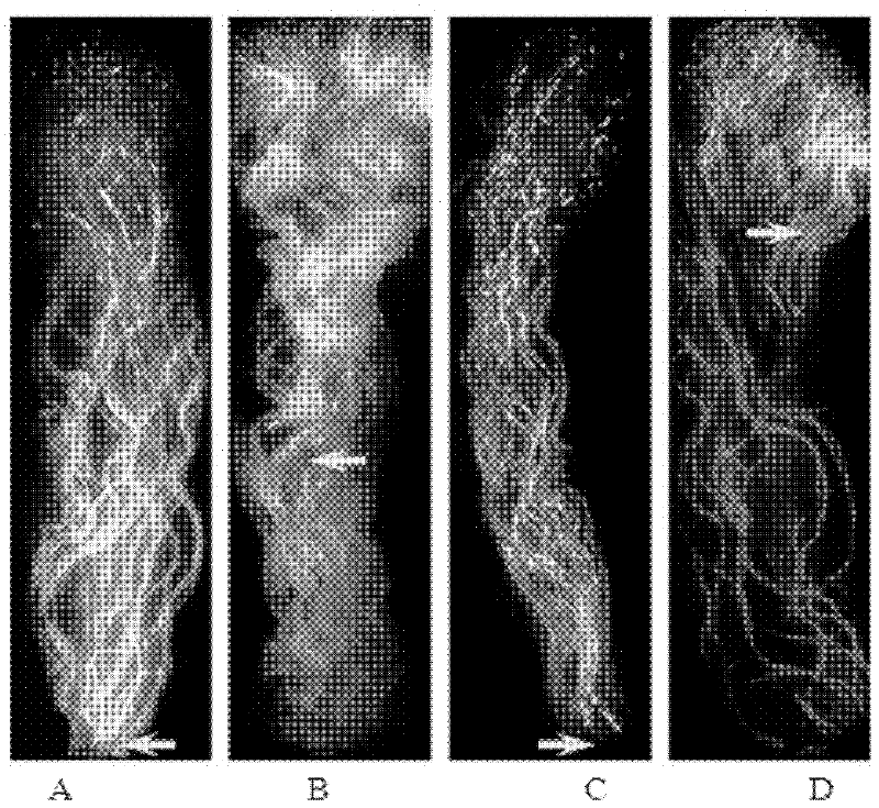 Method for promoting complete affinity of intervarietal pear pollination