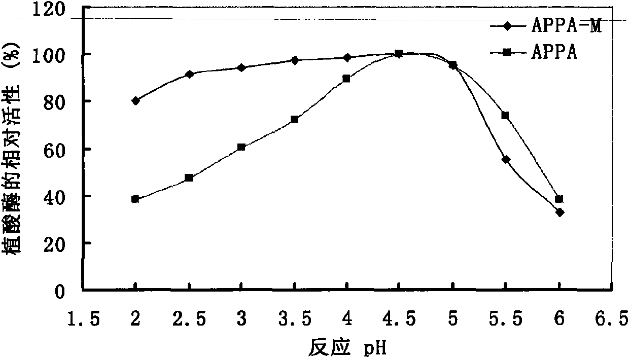 Optimized and improved escherichia coli phytase APPA-M with enhanced catalytic activity in acidic range, and gene and application of optimized and improved escherichia coli phytase APPA-M