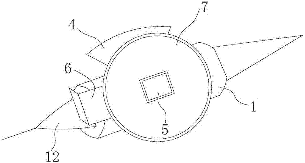 Early prediction method for rape yield and rapeseed pod-shading device