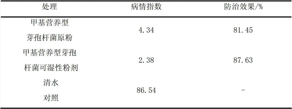 Wettable powder of bacillus methylotrophicus and preparation method thereof