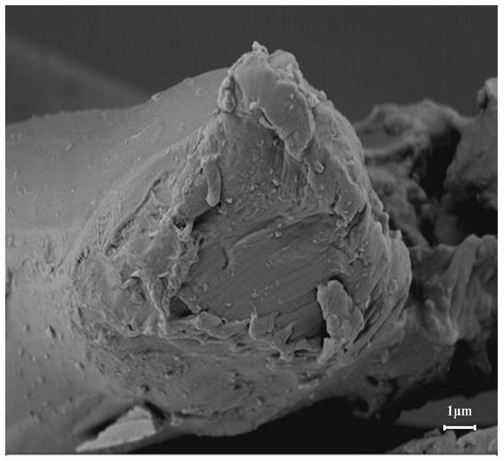 Sand-carrying fiber and preparation and application thereof