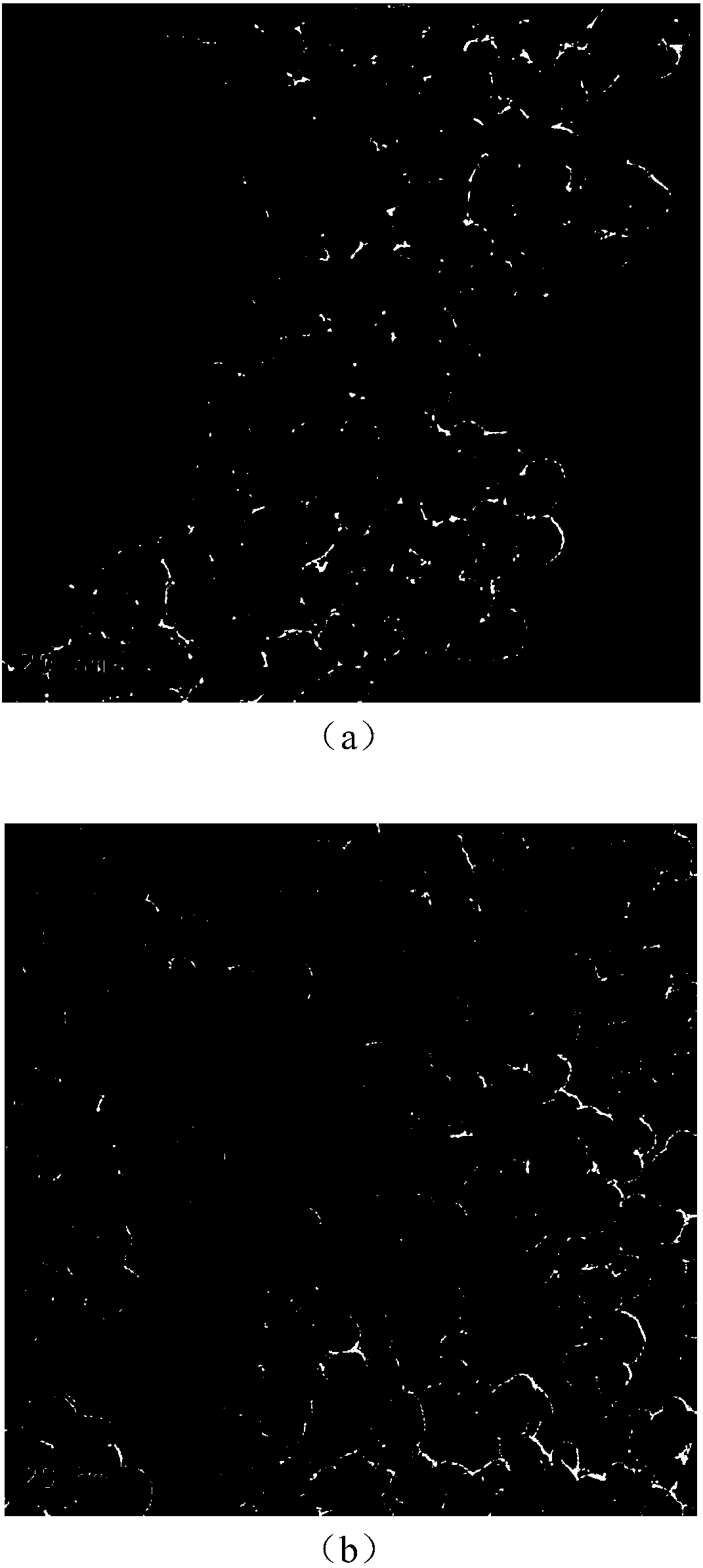 Method for producing 1,3-diglyceride by immobilized lipase