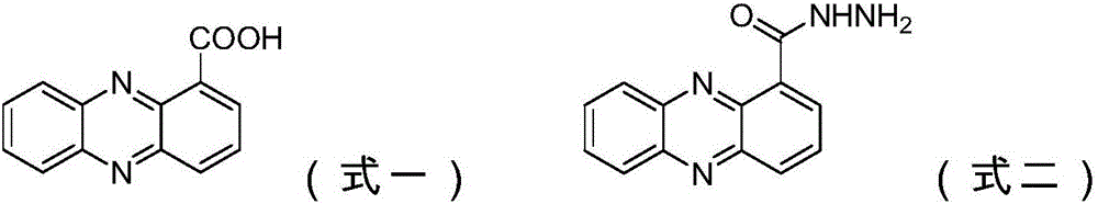 Azophenylene-1-bishydrazide carboxylate compound and bactericidal composition comprising compound