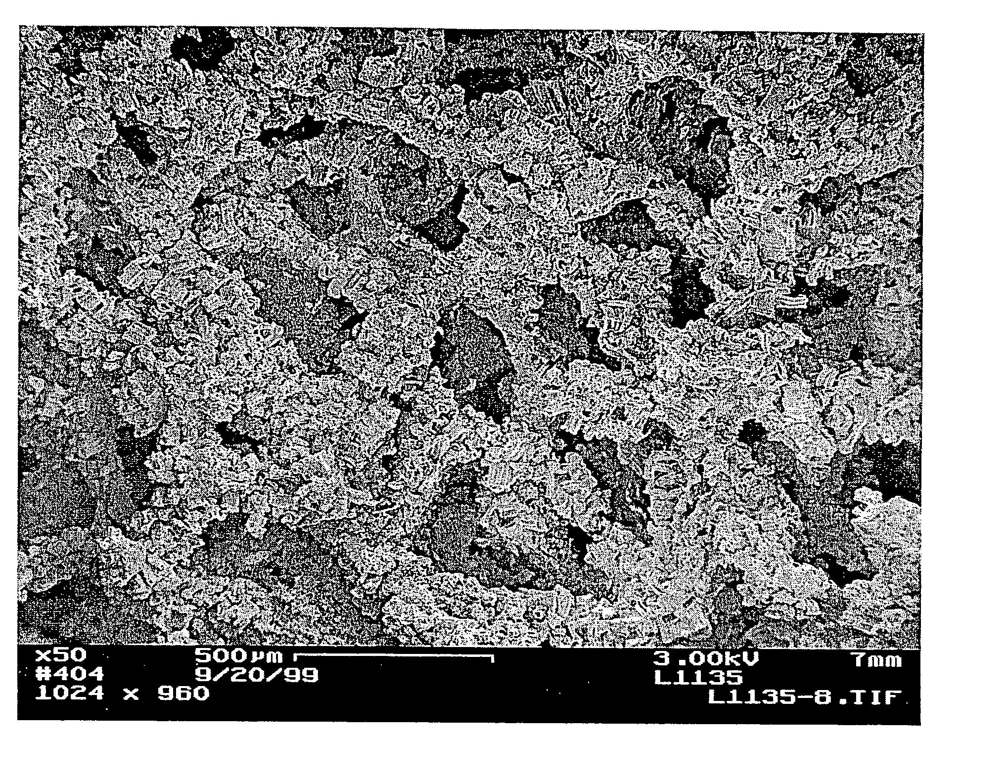 Carbon nanotube-containing structures, methods of making, and processes using same